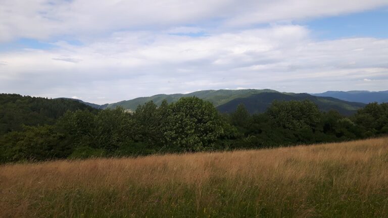 Slovensko