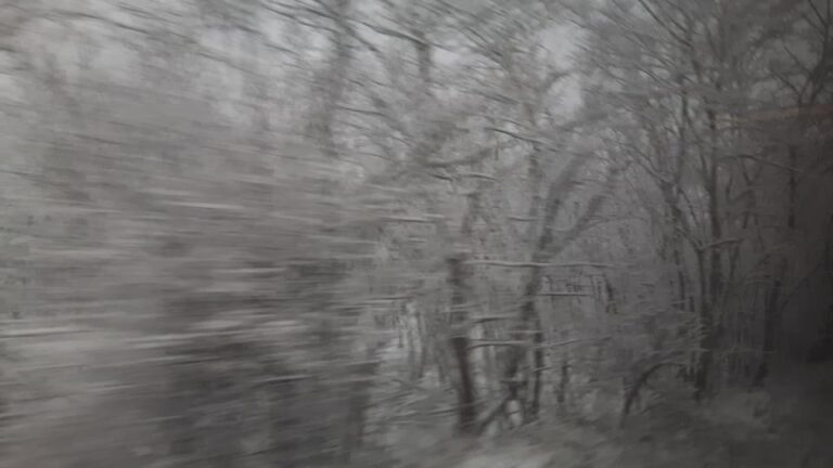 migrácia a majetkové poistenie