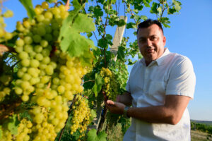 Miloš Holík: „Riaditeľ najlepšieho vinárstva musí byť aspoň raz do týždňa vo vinohrade."