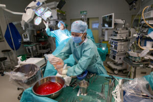 Transplantácia orgánov