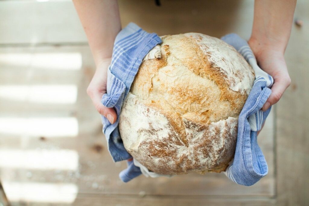 chlebík boží dar